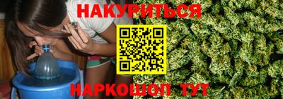 гашик Будённовск