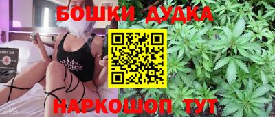 гашик Будённовск