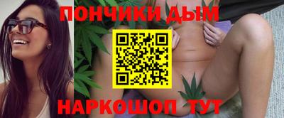 гашик Будённовск
