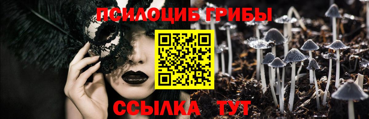 Псилоцибиновые грибы ЛСД  купить наркотик  Полысаево  Вход с VPN 